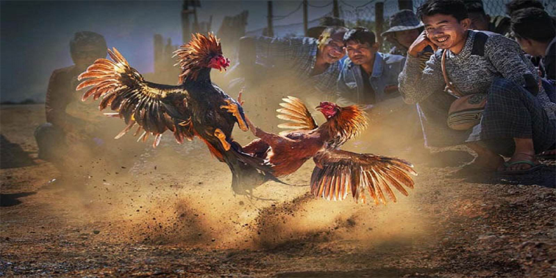6623aaa xổ số bữa nay