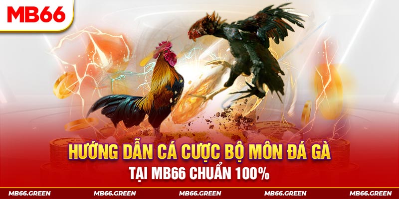 6623aaa slot là gi