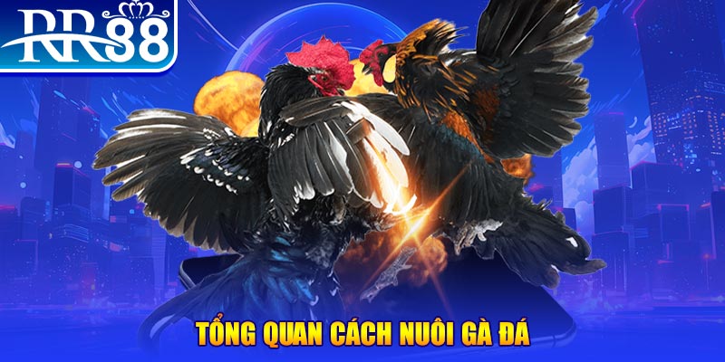 6623aaa game nổ hũ rút tiền mặt là gì