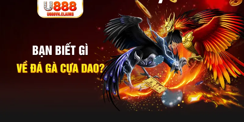 6623aaa SW Xổ Số