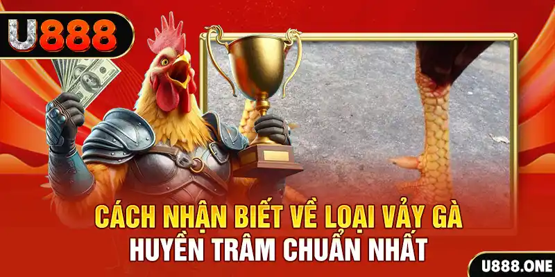 6623aaa đăng nhập nổ hũ số 1