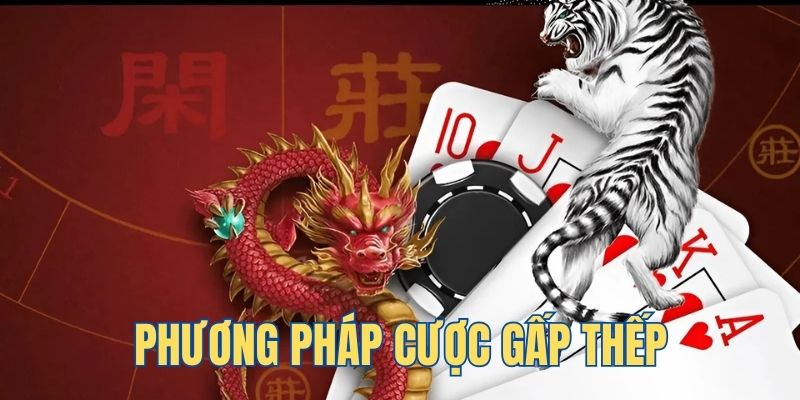 6623aaa da ga 88