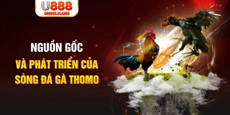6623aaa baccarat online la gì