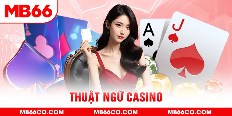 6623aaa gà chọi c1 mới nhất