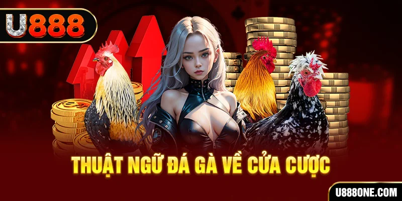 6623aaa hơn cả bạn bè