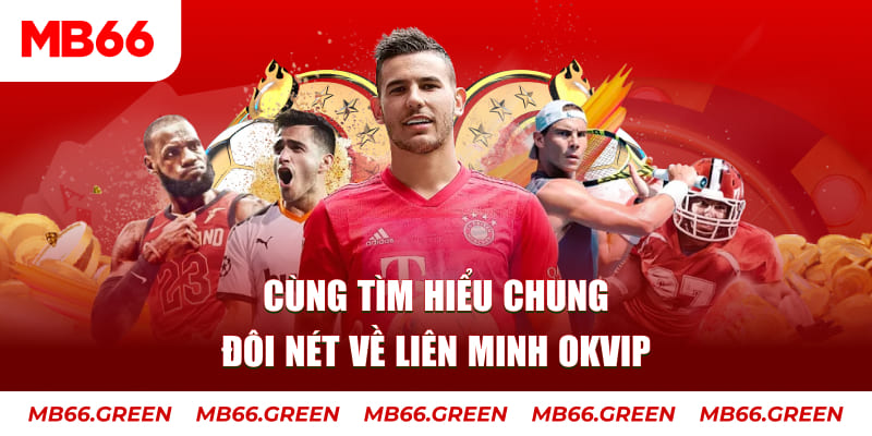 6623aaa đá gà trực tiếp bình luận viên