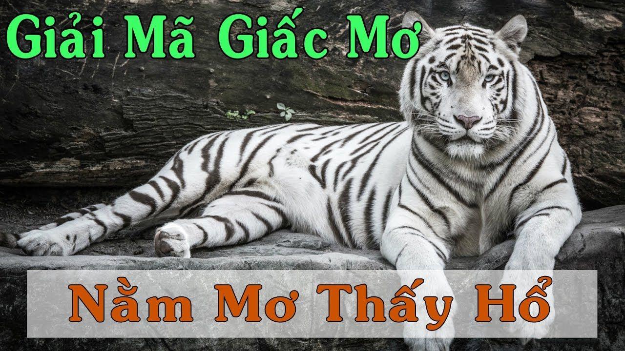 6623aaa nổ hũ là game gì