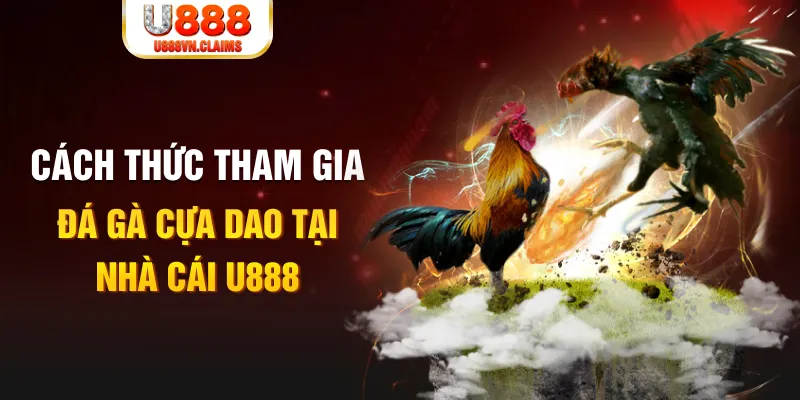 6623aaa Cỡ bảy