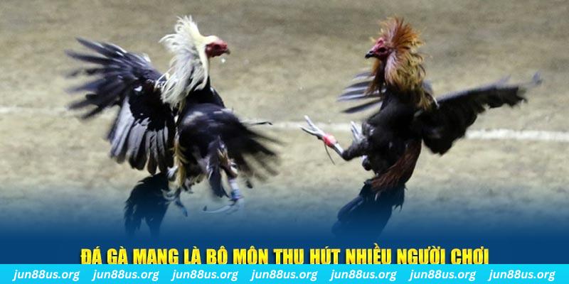 6623aaa nổ hủ nghĩa là gì