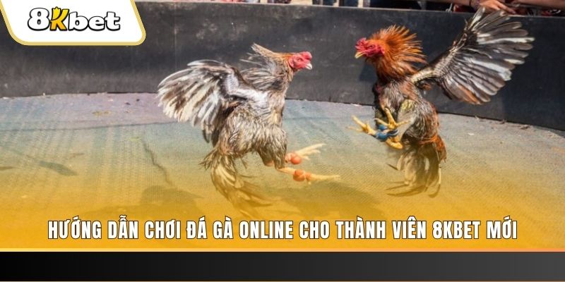6623aaa JILI Game Bài 3d