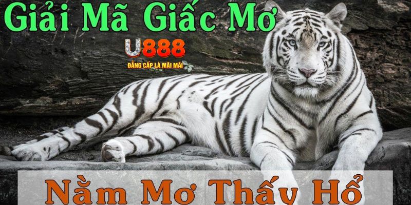 6623aaa xổ số miền bắc xổ số miền bắc