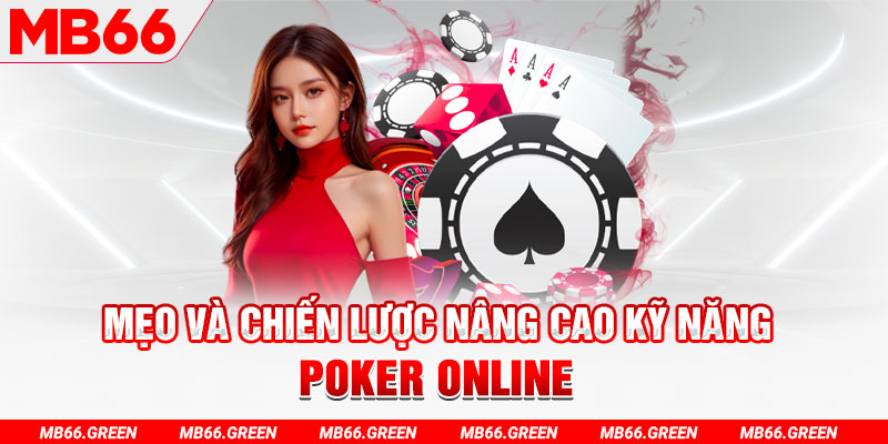 6623aaa chổi lông gà