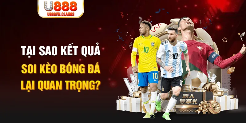 6623aaa Tôm Cua Cá 2