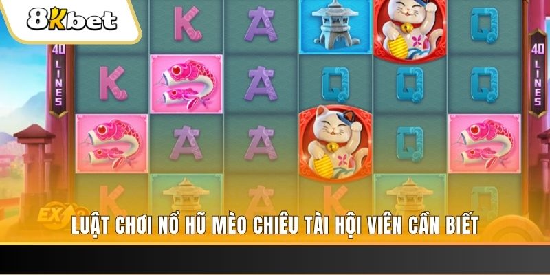 6623aaa máy bay nổ hủ