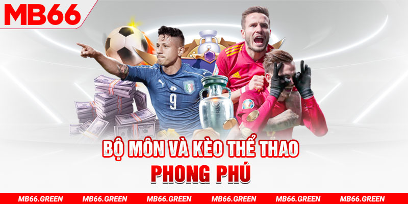 6623aaa đá gà 67