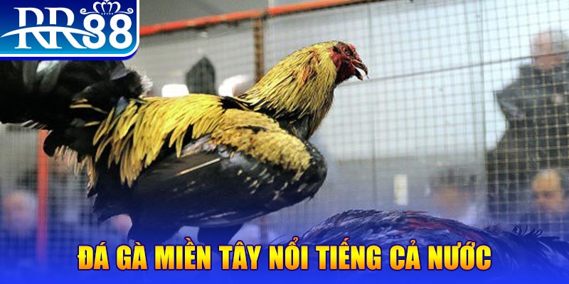 6623aaa xổ số đại phát