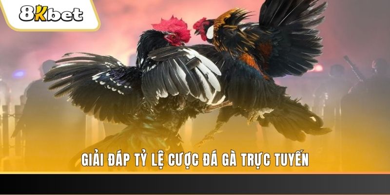 6623aaa ga choi cau thanh