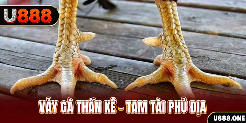 6623aaa xổ số miền trung thứ hai hàng tuần