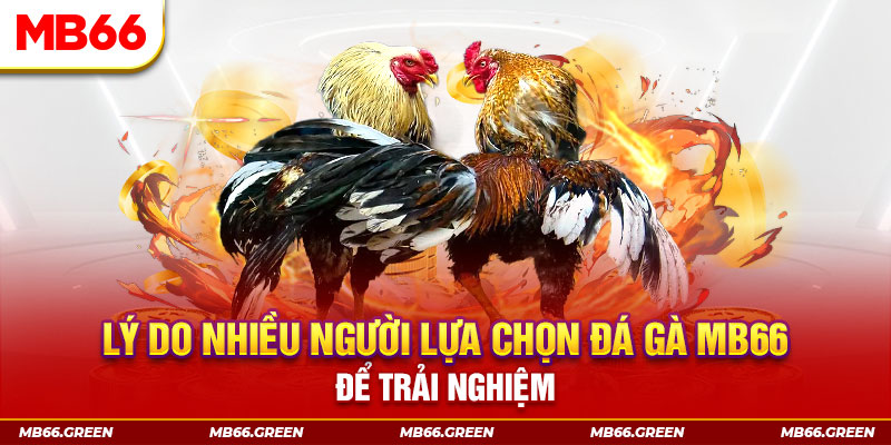 6623aaa đăng nhập liêng trực tiếp