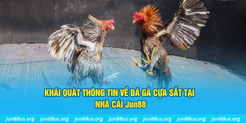 6623aaa xổ số miền bắc thứ bảy hàng tuần