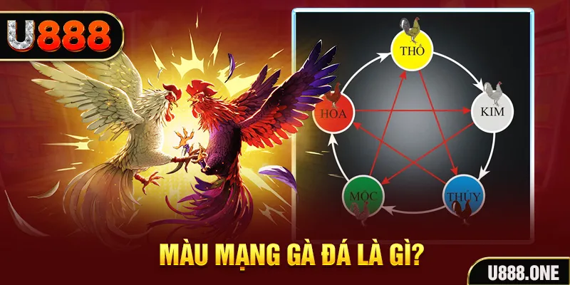 6623aaa xổ số miền trung thứ tư hàng tuần