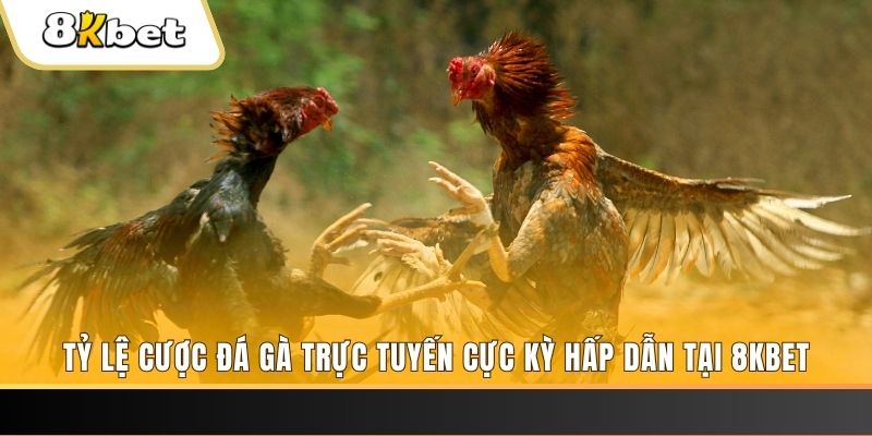 6623aaa đăng nhập mậu binh online