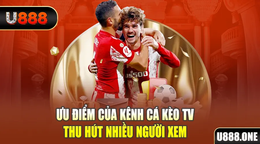 6623aaa gà chọi cu cần