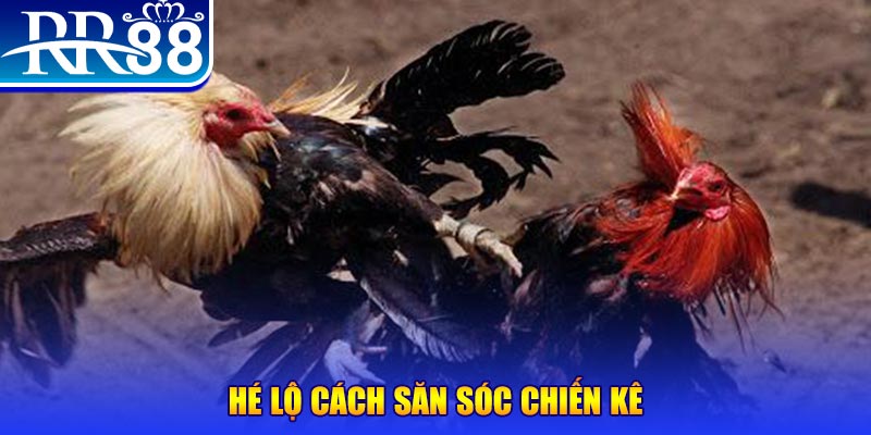 6623aaa xổ số miền trung thứ tư