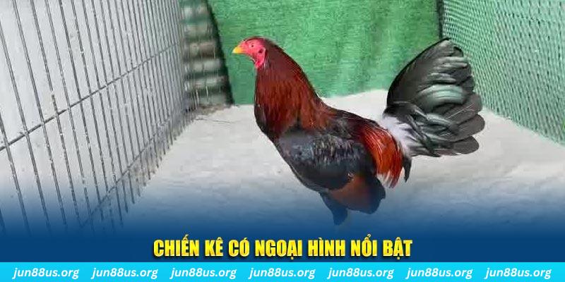 6623aaa game bắn cá