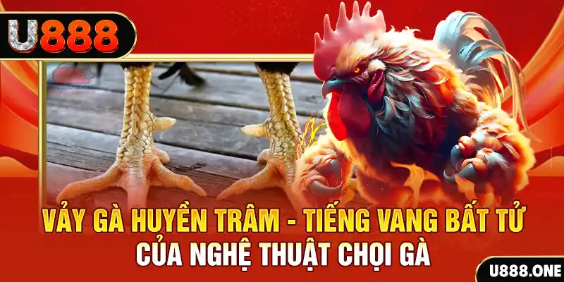 6623aaa đăng nhập roulette trực tuyến