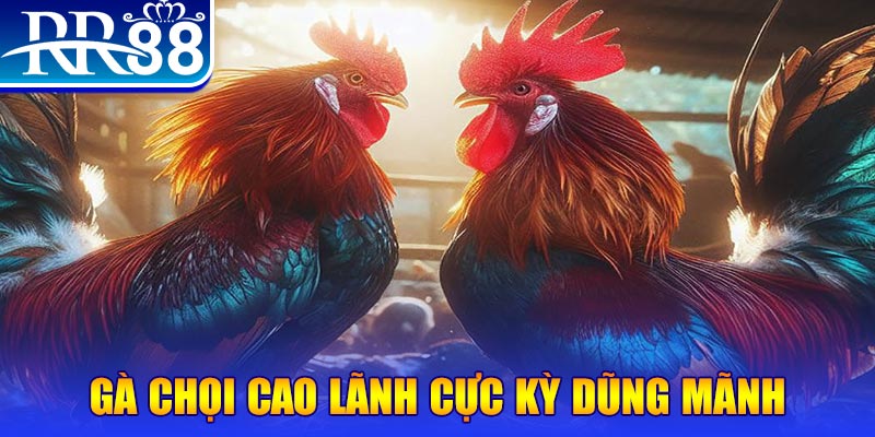 6623aaa HB Điện Tử