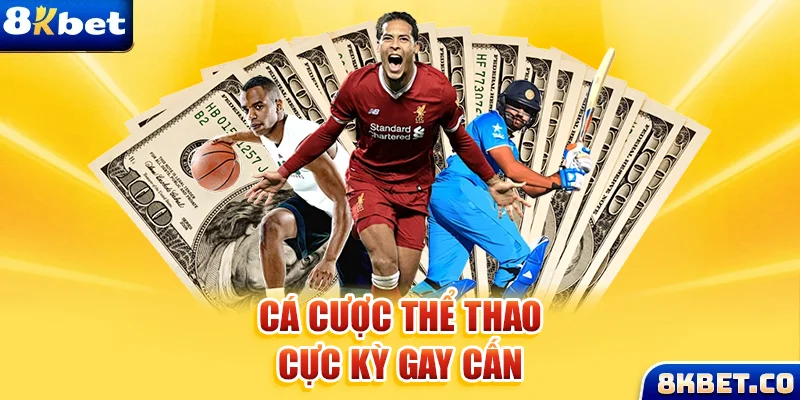 6623aaa xem đá gà trực tiếp